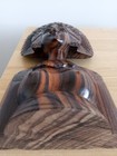 Bild 8 von 17