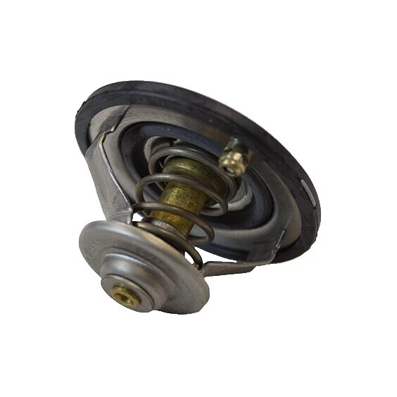 Genuine OEM Car & Truck motor termostatos y viviendas