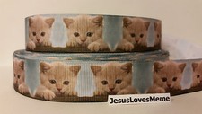Grosgrain Ribbon, Cute Adorable Tan Sandy Baby Kittens Cats, Meow Kitty, 1" Wide