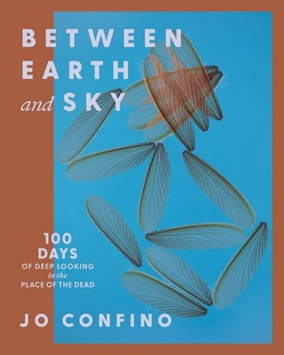 Between Earth and Sky: 100 Days of Deep Looking in the Place of the Dead by Jo C