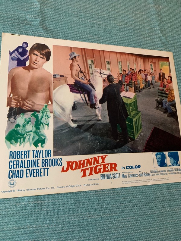 Chad Everett Vintage Johnny Tiger 1966 11X14 Movie Theater Poster