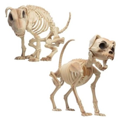 Two Different Skeleton Dog Value Pack - 9'' Halloween Decorations