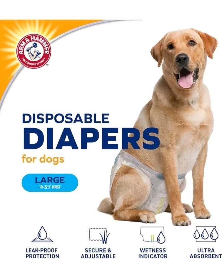 Pañales para perros hembra Arm & Hammer for Pets, talla grande, 24 unidades- Ultra-absorbente Foto 4 de 4