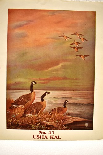 Vintage Lithograph Print Usha Kaal Sunrise Morning Depicting Flying Swan Seashor - Picture 2 of 3