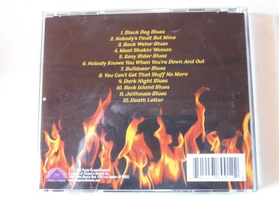 PAT TRAVERS BLUES ON FIRE CD - Bild 2 von 2