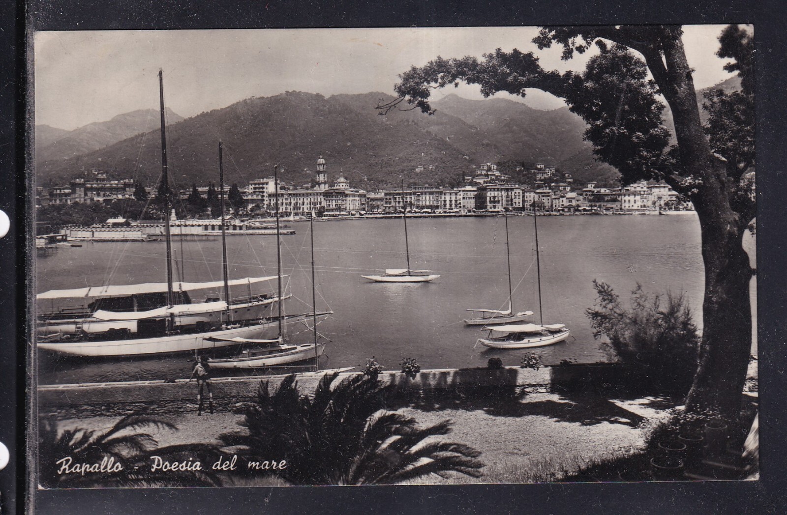 Cartolina Rapallo Poesia del Mare G2012
