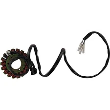 Ricks Motorsport Electric - 21-302 - Stator