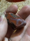Polished Utah Rocks Nice Collection  — photo 4
