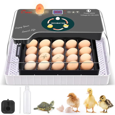 12 Egg Automatic Incubator with Turner Temperature Control and Candler