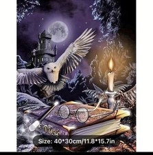 Fashioned After Harry Potter Owl Diamond Painting Craft Kit-11.8X15.7  