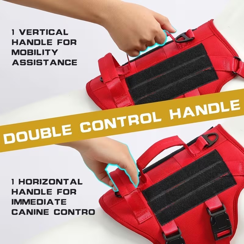 dog harness