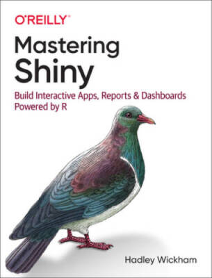 Mastering Shiny: Build Interactive Apps, Reports, and Dashboards Power - GOOD