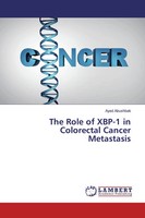Ayed Abushbak | The Role Of XBP-1 In Colorectal Cancer Metastasis | Taschenbuch