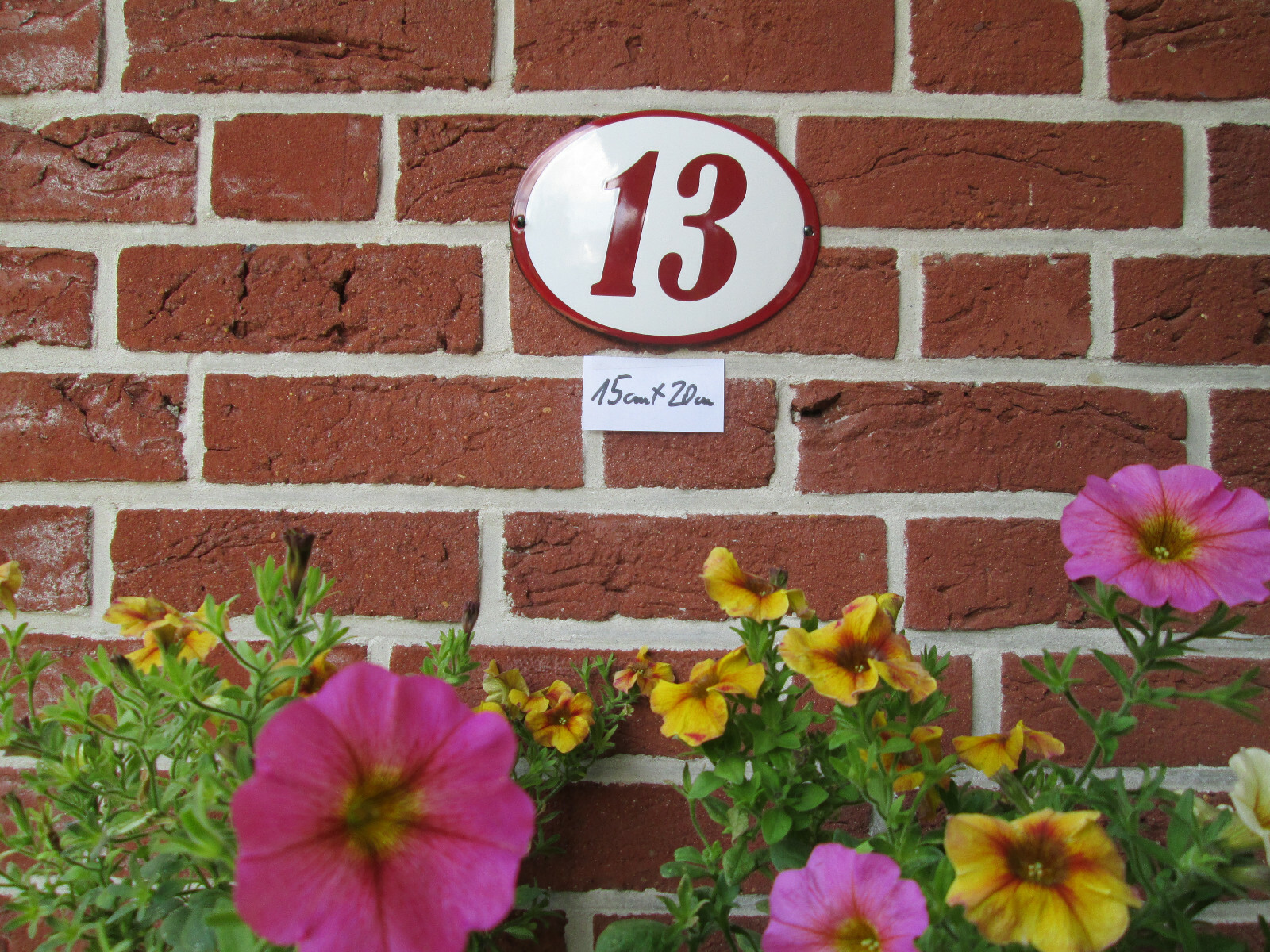 Picture 13 of 13
