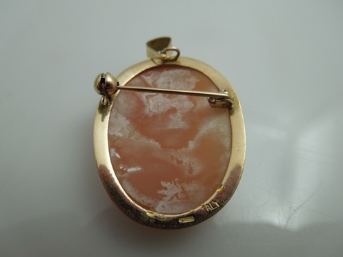 g790 Beautiful 14kt Yellow Gold Ladies Vintage Cameo Pin or Pendant - Picture 4 of 7