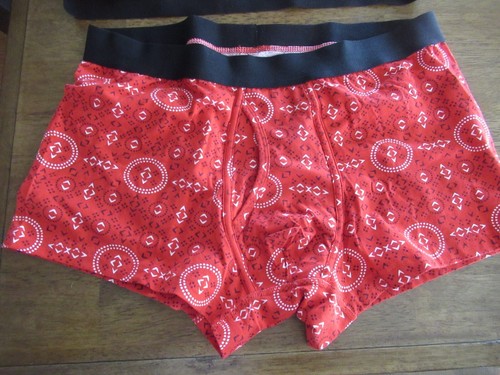 2 Pairs Goodfellow & Co Men's Boxer Briefs Size Large Red NWOT Free USA Shipping - Picture 2 of 5