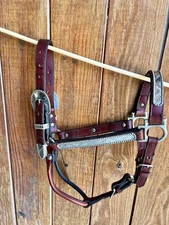Horse Size Beaded Silver Show Halter