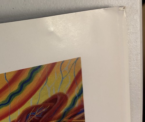 Calendario artistico Alex Grey 2008 elfo cosmico - essere Bardo - Cristo cosmico + altro - Foto 13 di 13