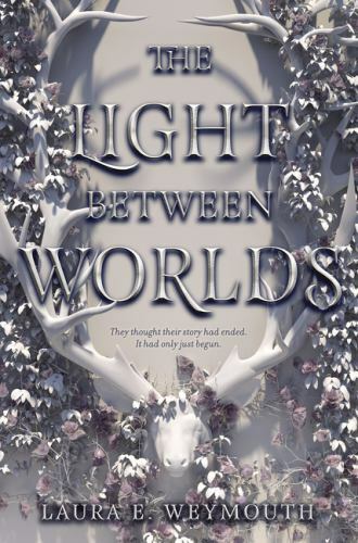 The Light Between Worlds  hardcover Used - Very Good