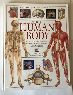 Educational HB s The Human Body An Illustrated Guide To It s Structure 