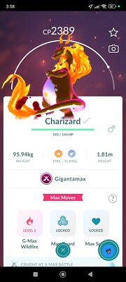 Pokémon Shiny Charizard ( Party Hat ) GO
