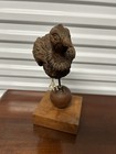 19th Century American Carved Wood Bird Model of a Pheasant — photo 3