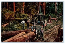 Tarjeta postal c1950 para tala Big Tree Grove Tirar Machine Horse Dirt Road Olympia WA