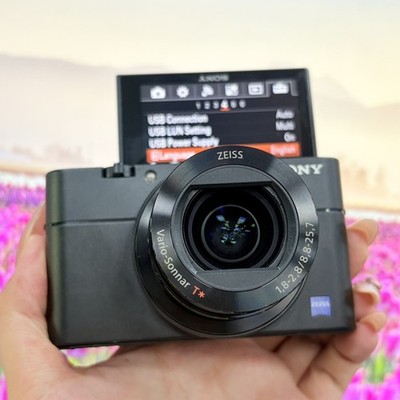 Sony Cyber-shot RX100 V RX100M5 20.1 MP Digital Camera Flip Screen Viewfinder