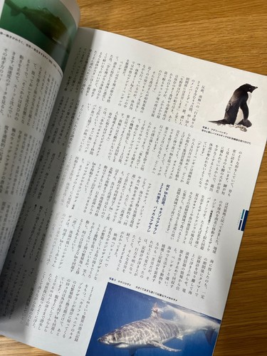 The BIG ISSUE Japan 15th April 2021 Vol.405 | SOPHIA LOREN | - Picture 6 of 8
