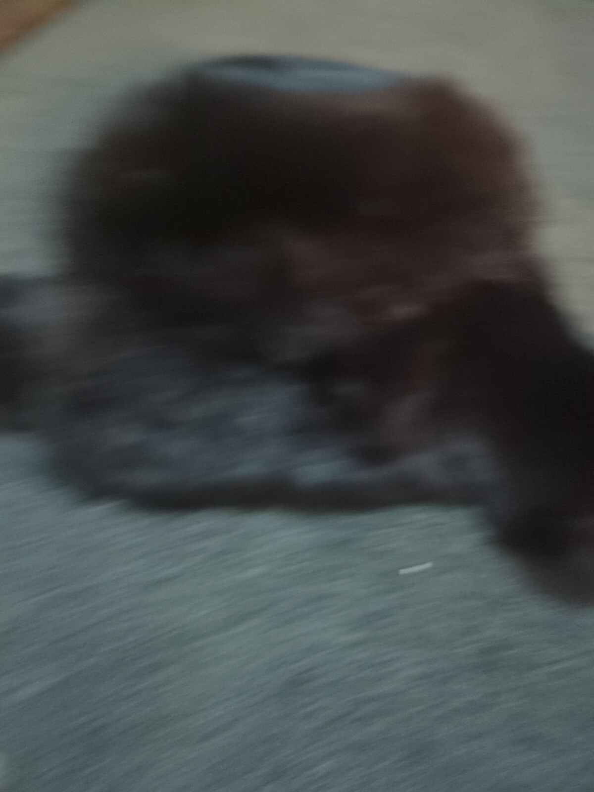 Picture 1 of 6