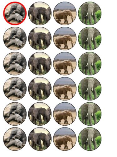 24 X ELEPHANT MIX NOVELTY RICE PAPER CAKE TOPPERS
