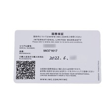 IWC Portugieser Chronograph IW371617 Silver Dial 7