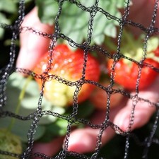 Garden Anti Bird Netting Net Vegetable Patch Raised Bed Plant Tree Mesh 2m-20m