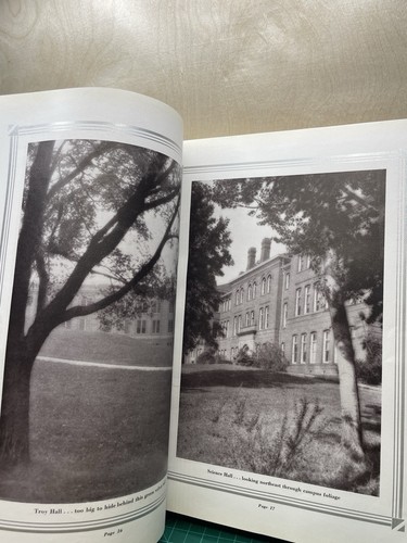 1930-31 Chinook Yearbook State College of Washington WSU Cougars University - Picture 13 of 20