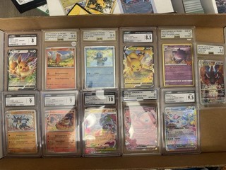 Lotto lastre carte classificate Pokémon Charizard Pikachu Eevee Gengar Glaceon e altro