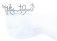 Bride to Be Veil  Sparkle Tiara