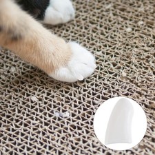 2 Packs/40PCS Pet Nail Claw Covers Anti-scratch Nail Covers Cat Dog Nail Caps