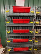 TOF Complete Coturnix Quail Cage System -- Just add quail