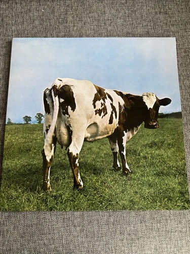 Atom Heart Mother by Pink Floyd Vinyl LP 2016. Sleeve VG+ Record New Unused