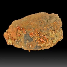 4.8" Red Orange MIMETITE Sharp, Lustrous Crystals on Matrix China for sale