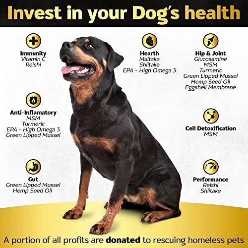 Dog joint relief cheap