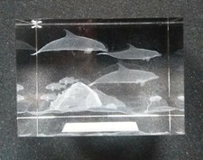 3D Laser Kristallglas Quader, Motiv Delphine, 100x70x60 mm