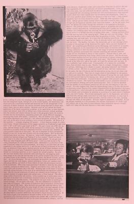 Eduardo Paolozzi, Temporäre Variationen In Erfahrenem Typ II Von General Dynam