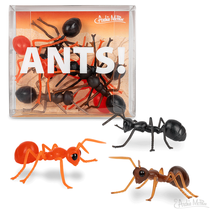 3'' ANTS - Box of 6 | eBay