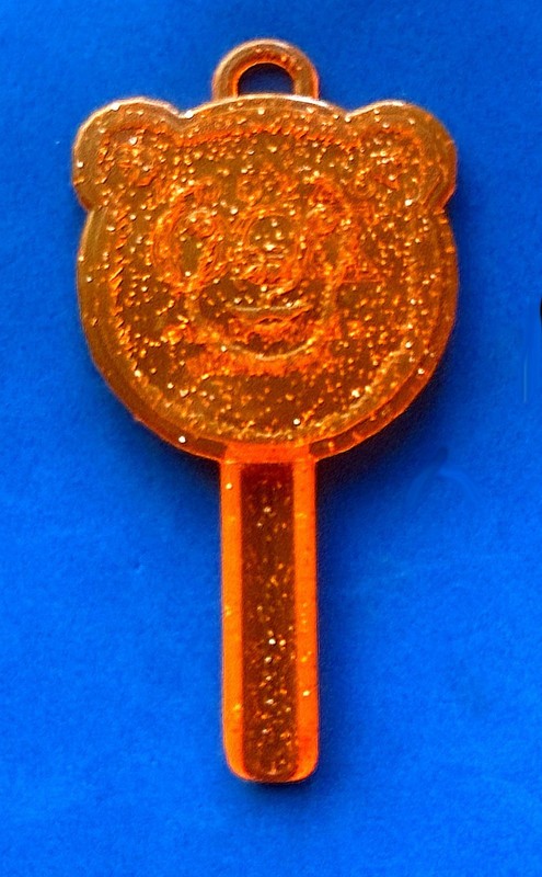 ⭐ Portland Oregon Zoo-Orange Polar Bear Key  🔑 Talking StoryBook  ⭐