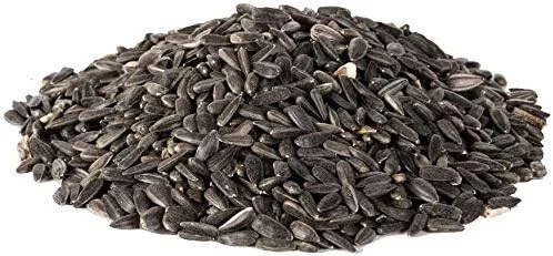 Extra Select Black Sunflower Seed Wild Bird Food, 1 kg 1 (Pack of 1) - Picture 2 of 3