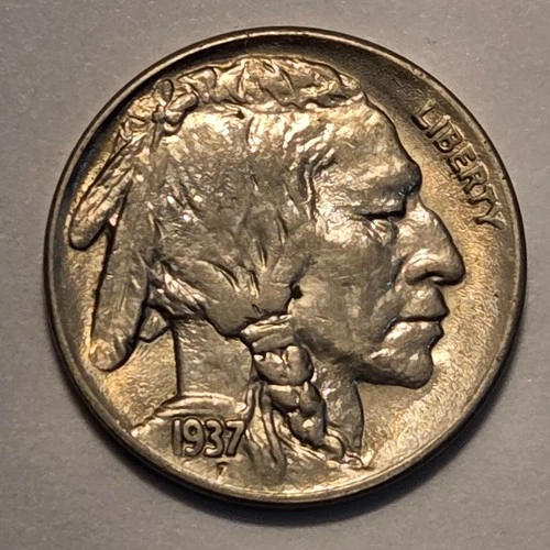 Nicer low mintage Business Uncirculated++ 1937 S Buffalo Head Nickel