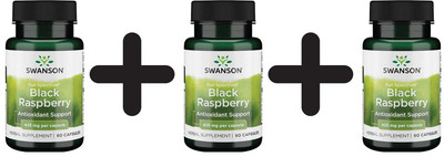 3 x Swanson Full Spectrum Black Raspberry, 425mg - 60 caps (170,30 EUR/kg)