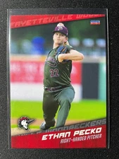 2024 Choice Fayetteville Woodpeckers Team Set (Astros) You Pick Free Shipping!!!