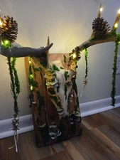 Genuine Whitetail Deer Skull Moss And Mushrooms Oddity Wall Mount 